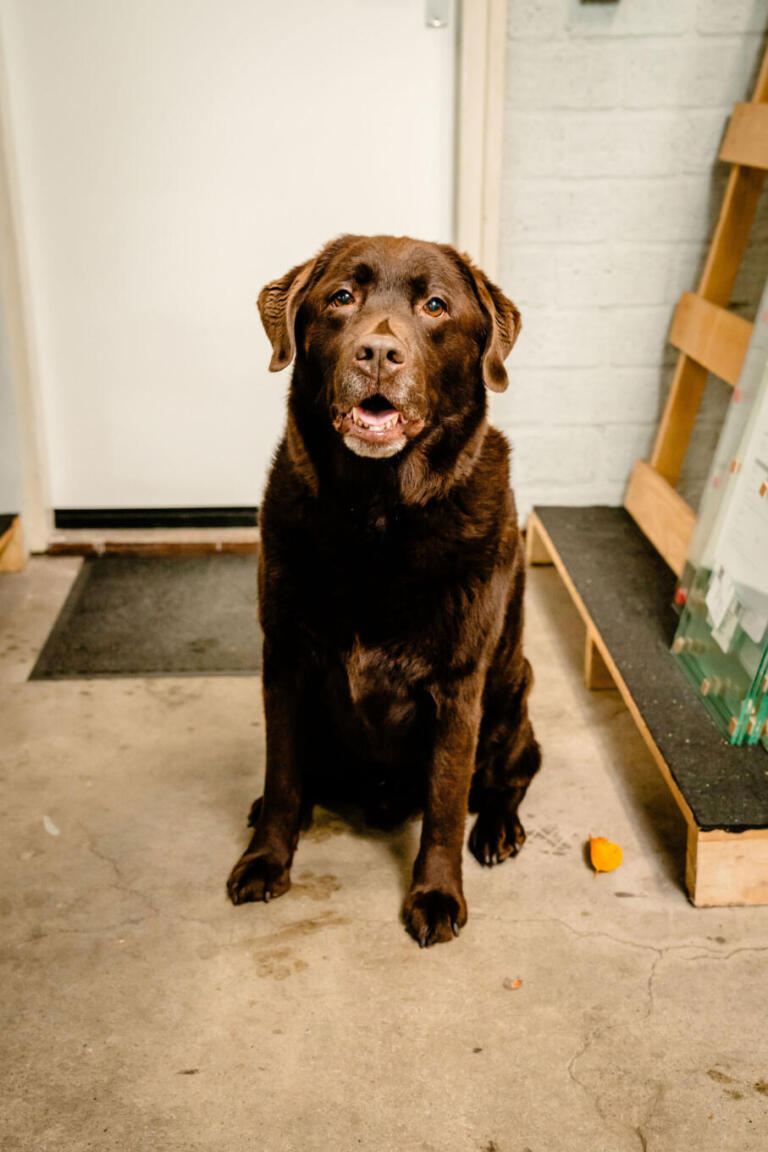 Dirk van Spiegelexpert